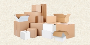 Important to Consider the Following Factors Important to Consider the Following Factors